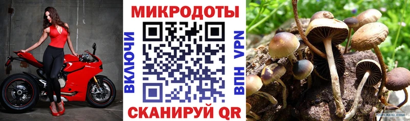 хочу   кракен зеркало  Псилоцибиновые грибы прущие грибы  Красноуфимск 