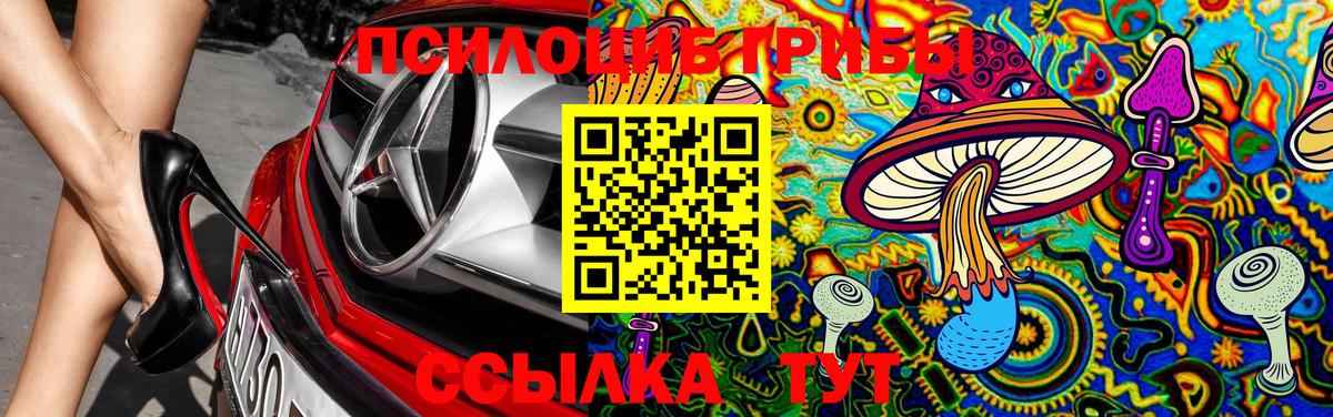 Псилоцибиновые грибы Cubensis Красноуфимск