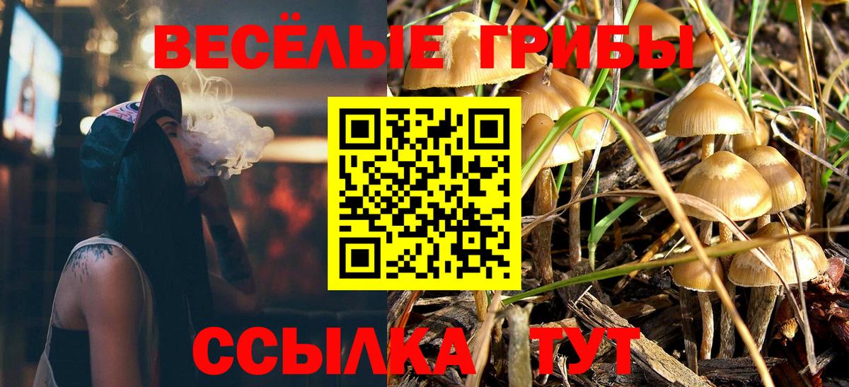 Красноуфимск  Псилоцибиновые грибы Psilocybe  Вход с VPN 